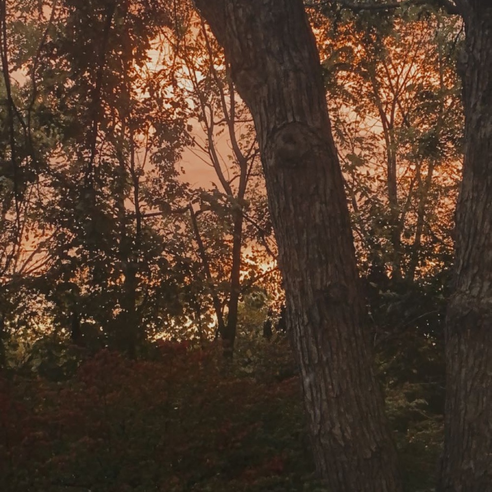 Meet your Posher, Sofia